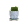 Liberte Porcelain Pot and Saucer Set – Blue Birds – 3.25″